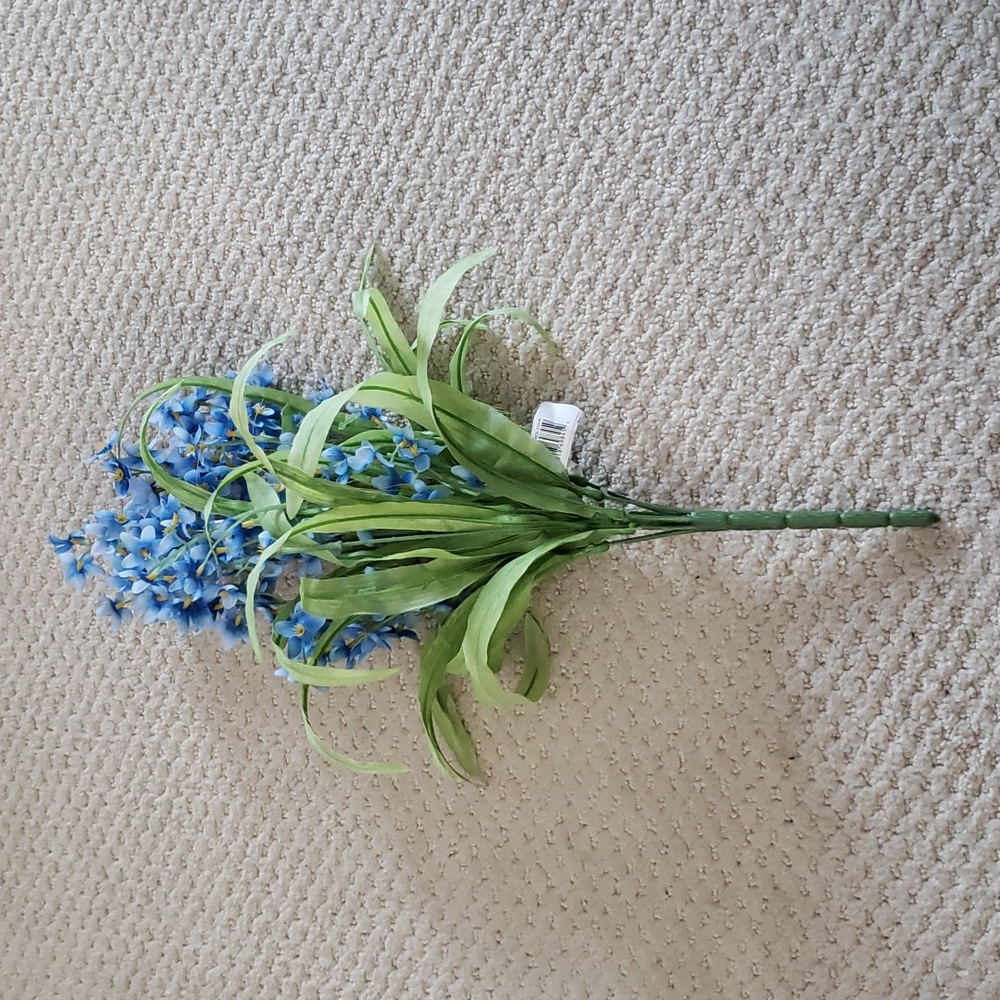 Ashland forget me not blue flower sprig